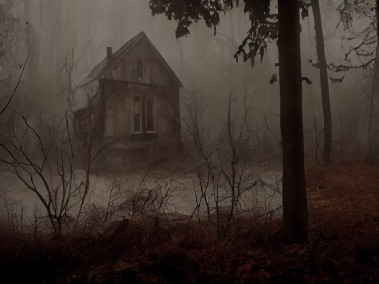 La Cabane dans les bois